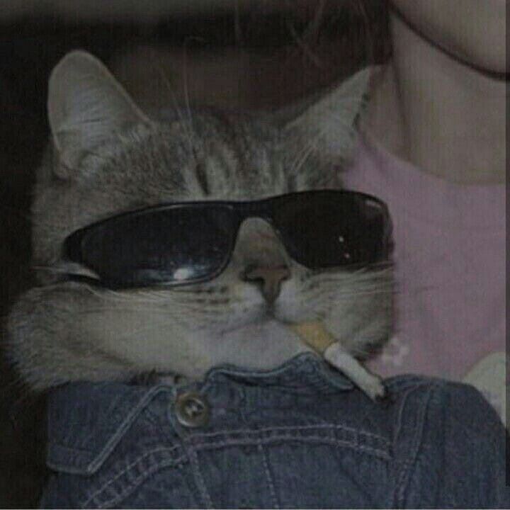Пользователь